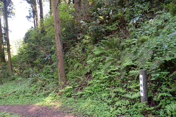 増山城の石垣跡