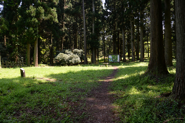 増山城の遺構