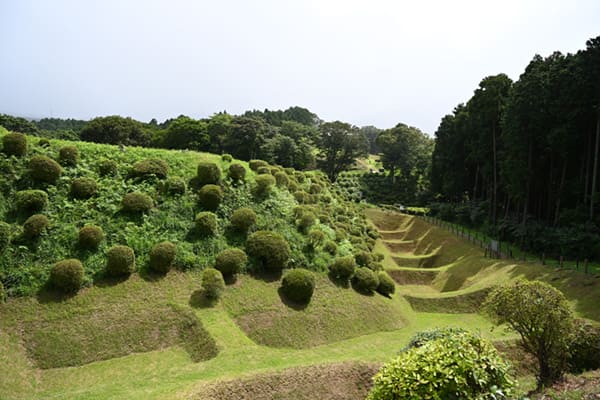 山中城