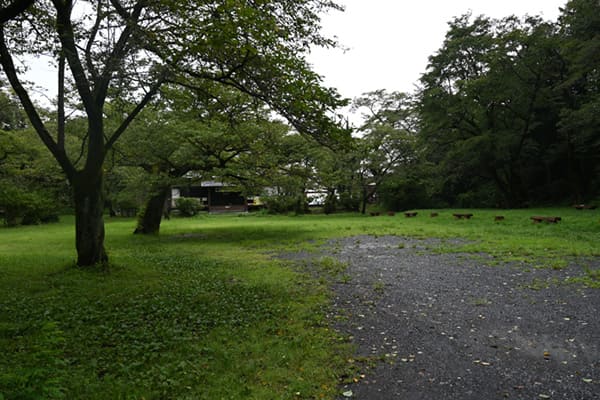 滝山城中の丸