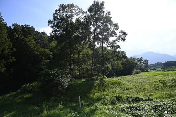 新府城の東出構