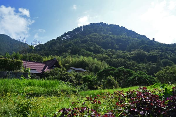 要害山と積翠寺