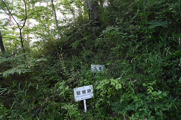 要害山の竪堀跡と土塁跡