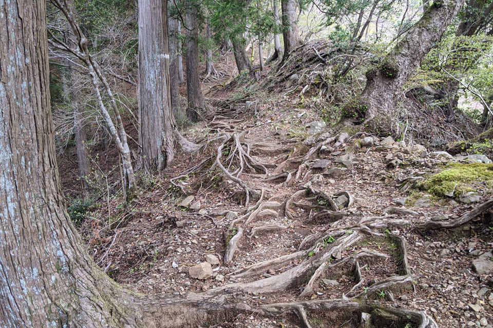 小丸尾根ルート序盤のやや急な坂