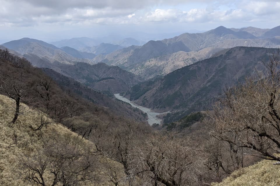 丹沢山系の谷の眺望