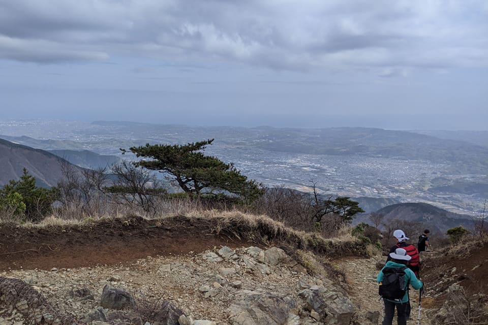 大倉尾根からの眺望