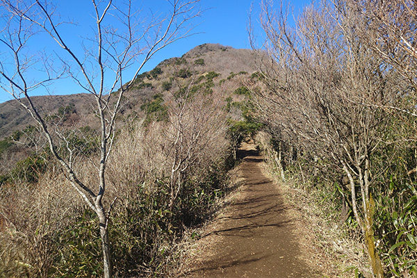 山頂はまだ先だ