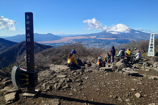 金時山山頂から望む富士山