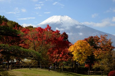 花の都公園　紅葉