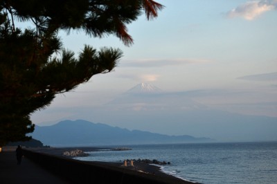 三保の松原からの富士山