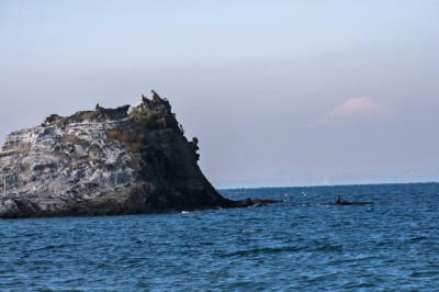 東京湾の向こうに見える富士山