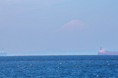 東京湾の向こうに見える富士山