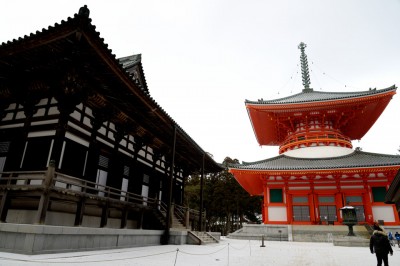 高野山の金堂と根本大塔