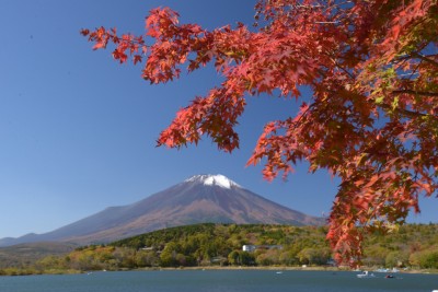 秋・山中湖