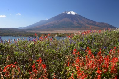 秋・山中湖