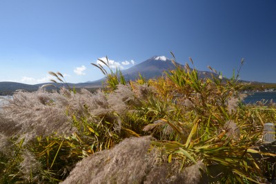 秋・山中湖