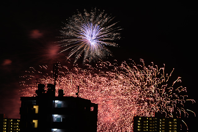 多摩川六郷花火大会