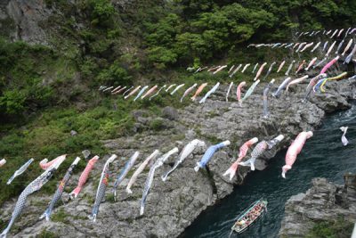 大歩危峡の鯉のぼり